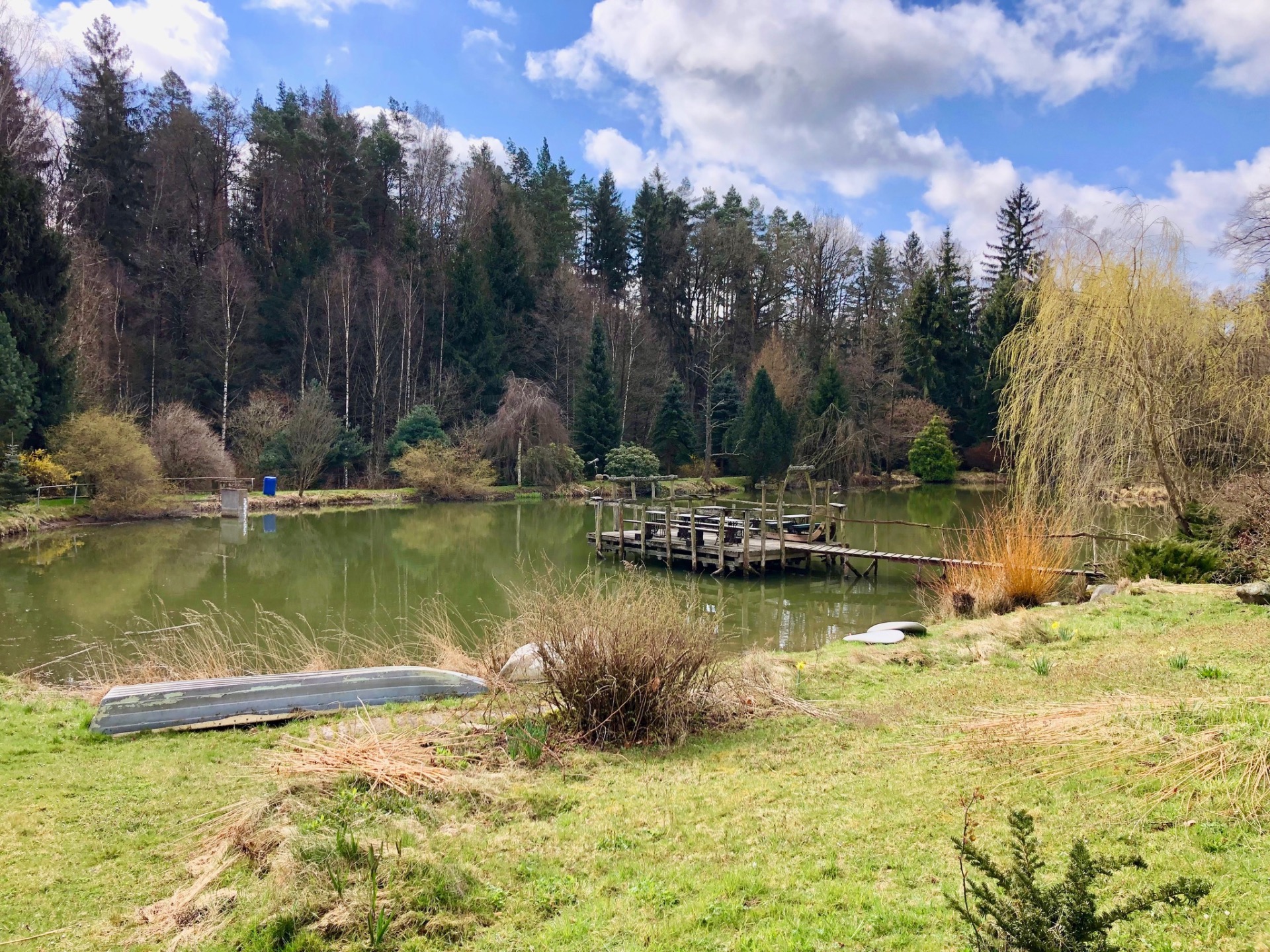 Kominický rybník, Saň
